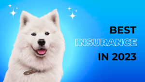 pet best insurance reviews